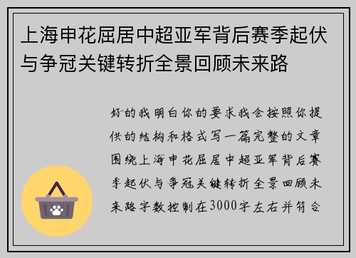 上海申花屈居中超亚军背后赛季起伏与争冠关键转折全景回顾未来路